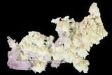 Pristine, Amethyst Crystal Cluster - Las Vigas, Mexico #165622-1